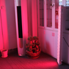 CytoLED Pentaplex — Full-Body Roodlichttherapie Paneel - afbeelding 3